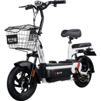 派乐/PALLA K6 电动车 3C新国标48V20ah大容量电瓶车代步车电动自行车 K6钻白