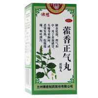 佛慈 藿香正气丸(浓缩丸)200丸/瓶解表化湿 理气和中署湿感冒头痛胸闷 恶寒发热呕吐腹泻 [丸剂][感冒咳嗽]