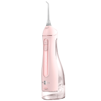 博皓冲牙器水牙线小魔瓶家用口腔清洁牙结石便携式洗牙器 [升级款300ML大水箱 5025D忠诚粉]