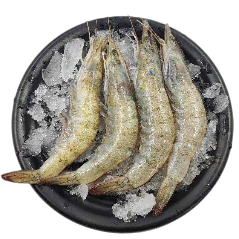 大虾毛重5斤鲜活海鲜虾超大基围虾河虾甜虾对虾海虾活虾冰冻虾[三天内发货]