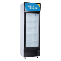 穗凌(SUILING)展示柜冷藏柜 冰柜商用立式保鲜柜 超市冰箱啤酒饮料柜 省电单门LG-288LX