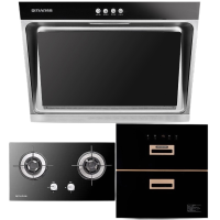 奇田(QiTian)抽吸油烟机侧吸式 双灶燃气灶天然气 嵌入式消毒柜 烟灶消三件套装FX1-06+A-C1+115-04