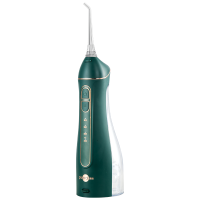 博皓冲牙器水牙线小魔瓶家用便携式洗牙器 200ML水箱 5025A/F27银杏绿