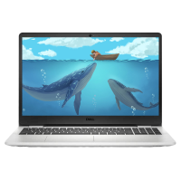 戴尔(DELL)灵越3501(Ins15-3501-R1605S)15.6英寸笔记本电脑(十一代i5-1135G7 16G 512GBSSD 高性能Xe显卡 银色)官方标配