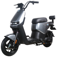 派乐/PALLA K15 新国标电动自行车48V24Ah锂电电动车 油光哑黑/曜石灰