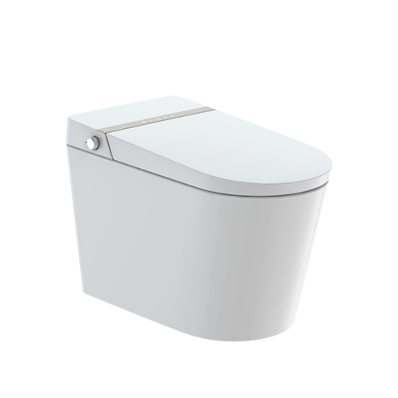 东鹏卫浴家用智能马桶一体式无水箱AI声控智能坐便器W843105T/FZQ