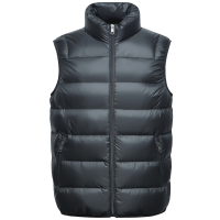 雪中飞秋冬季2022男新款保暖短款防风立领休闲时尚舒适羽绒马甲男