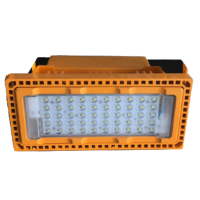 顶火 GMD6300N 22.2VDC 100W IP66 6500K 检修灯 (计价单位:个) 橙色