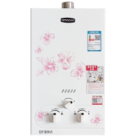 QiTian/奇田JSQ12-B6升 燃气热水器 天然气 强排式家用煤气热水器 铜水箱 (12T)