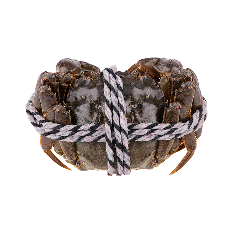 蟹灵阁阳澄湖大闸蟹公蟹4.0两 母蟹3.0两 4对8只螃蟹礼盒装