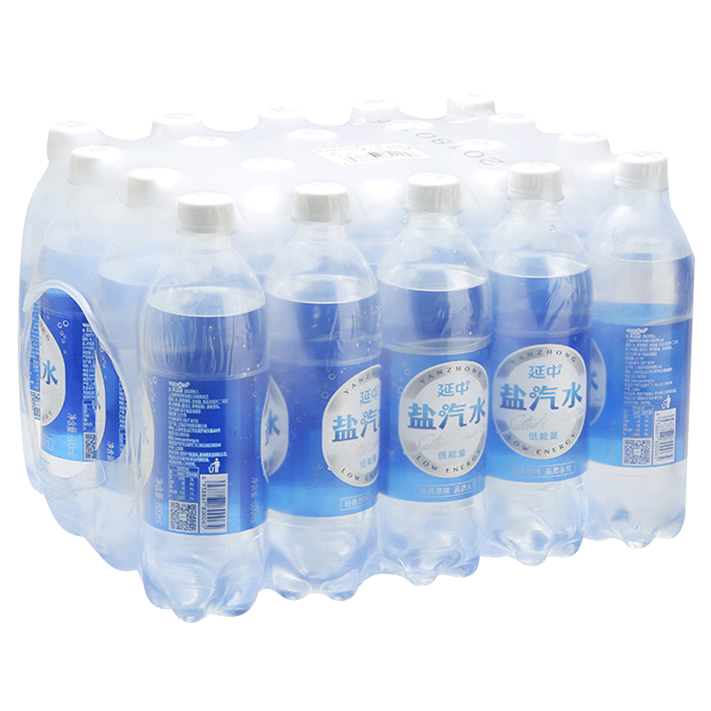 延中 盐汽水600ml*20瓶整箱装 碳酸饮料饮品咸味汽水