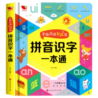 拼音识字一本通会说话的识字大王早教有声书幼儿认字启蒙点读发声书