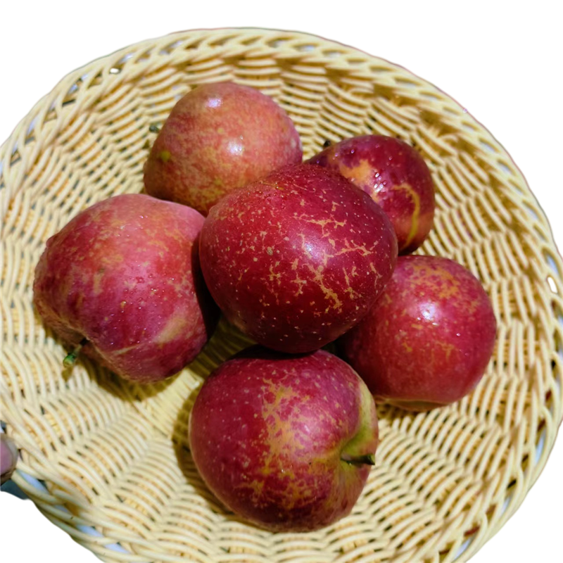 云南昭通丑苹果冰糖心苹果大果11斤带箱18个装(85mm直径)苹果新鲜现采摘红富士