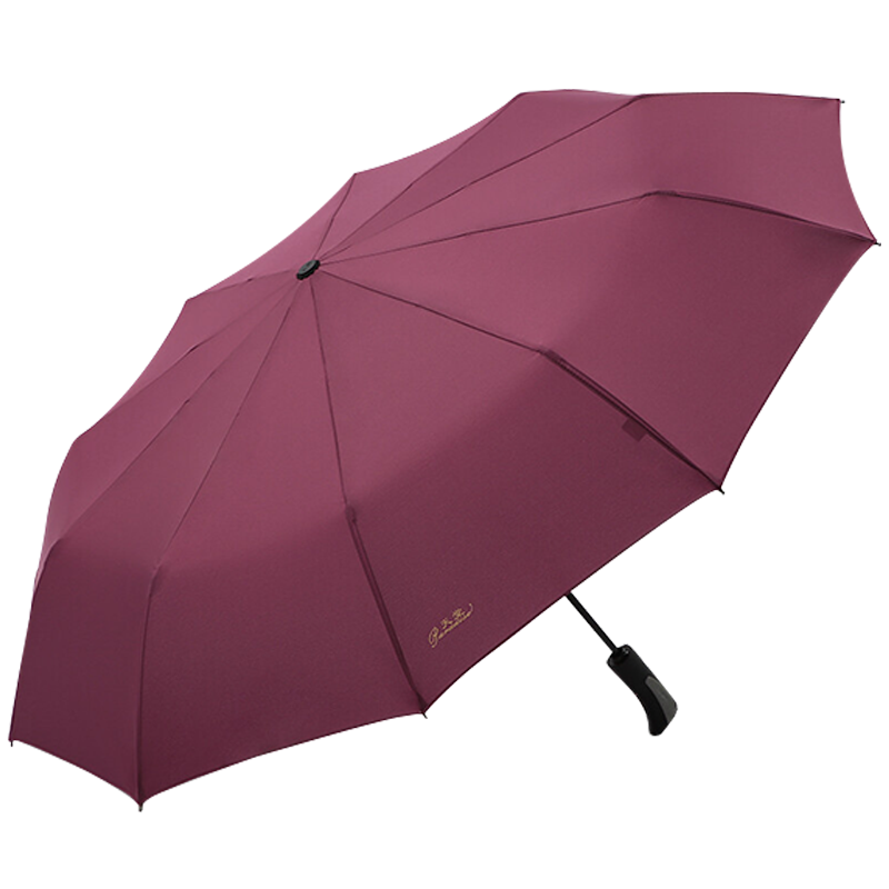 天堂伞 晴雨伞10骨加固一键开收易甩干简约全自动雨伞男女 暗红紫 58CM*10骨