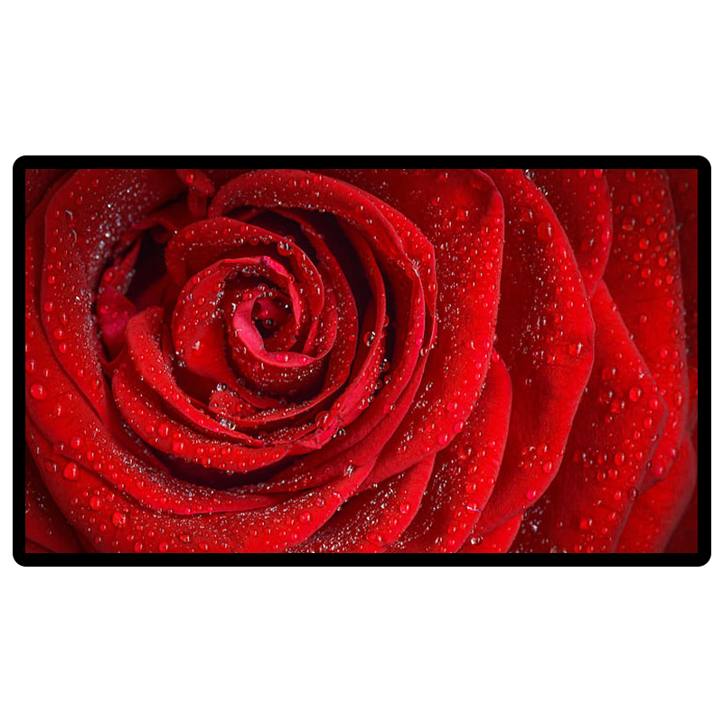 昌裕CY-TMGGJ-Z55液晶壁挂广告机接种用的多媒体广告机信息发布