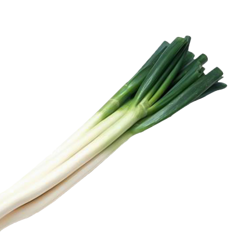 大葱种子 山东章丘四季葱种子 葱苗蔬菜种籽香葱小孑葱籽 葱种籽带根 100g/袋