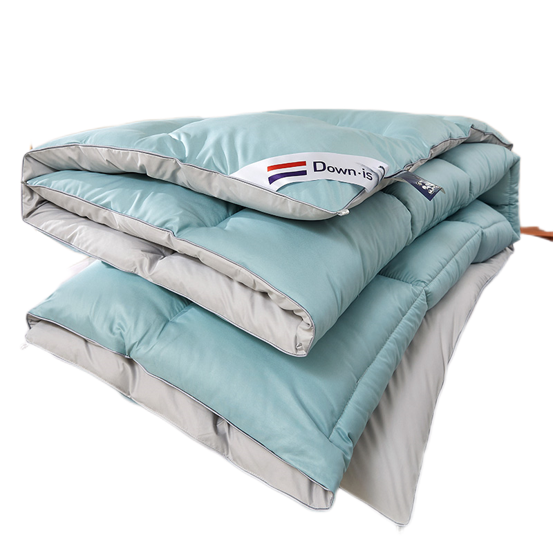 王室日记 经典羽绒被 花色随机