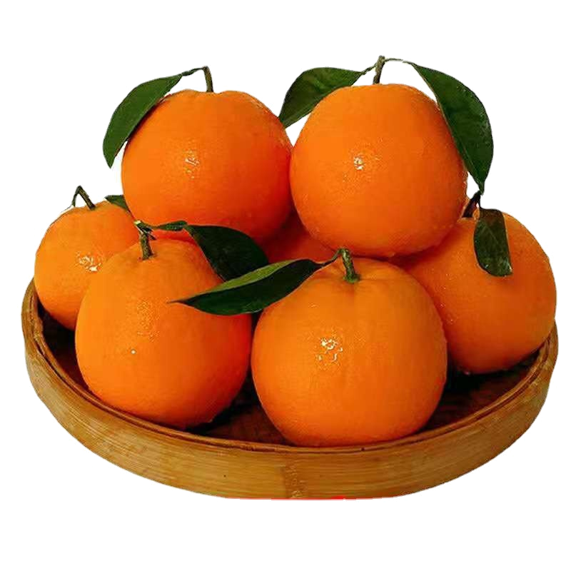 [苏鲜生]正宗伦晚脐橙 净重5斤 单果80-85mm 秭归橙子水果新鲜当季整箱斤果冻甜橙春橙伦晚脐橙