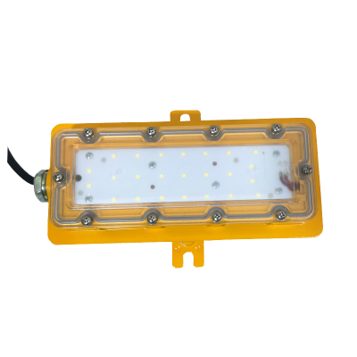 LHDQ 领航电器 LHB8685 LED防爆低顶灯 20W 220V 冷光 IP68