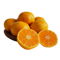 正宗 涌泉蜜桔 净重10斤精选中果 现摘现发 精品装 皮薄无核无渣蜜橘 新鲜应季孕妇水果 送礼佳品 产地直达