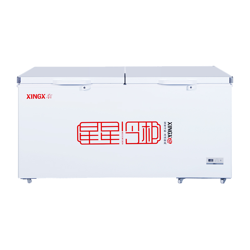 星星(XINGX) BD/BC-519E 519升 冰柜 商用卧式大冷柜 大型冷藏冷冻转换单温雪柜