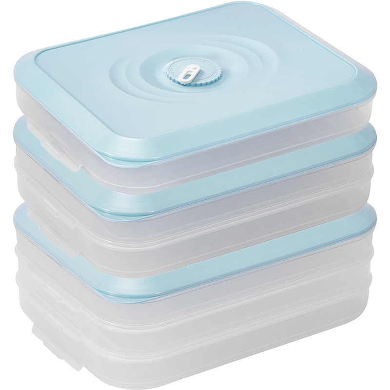 太力冰箱收纳盒保鲜盒食品级专用厨房蔬菜水果鸡蛋冷冻整理储物盒