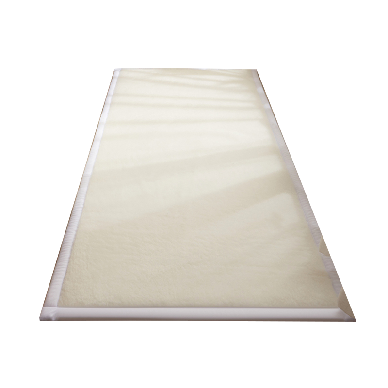 俏佳人房间卧室地垫女孩2022新款床边地毯瑜伽垫子家用防滑吸水健身加绒厚