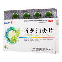 [3盒]龙城莲芝消炎片12片*2板/盒*3盒清热解毒凉血消肿肺胃有热火毒内盛
