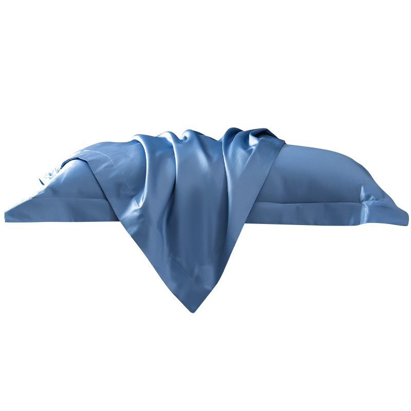 POKALEN(普卡兰)100支长绒棉枕套一对装全棉纯棉枕头套成人枕头枕巾水洗棉大号48×74cm高端高级感家用