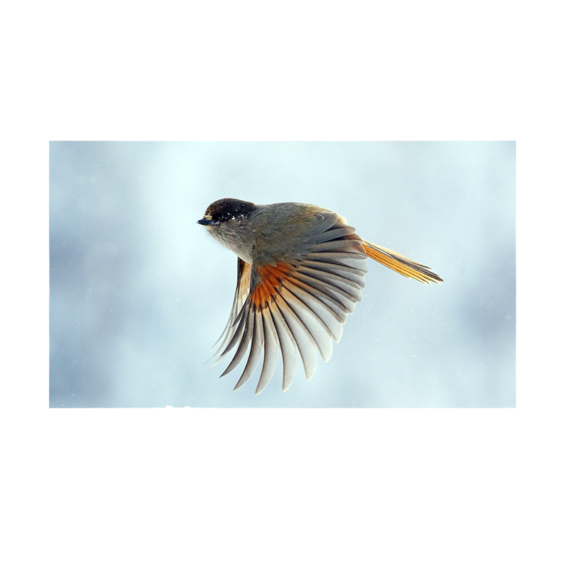 ULTC 优联技术LED小间距全彩显示屏箱体ULV1.86S