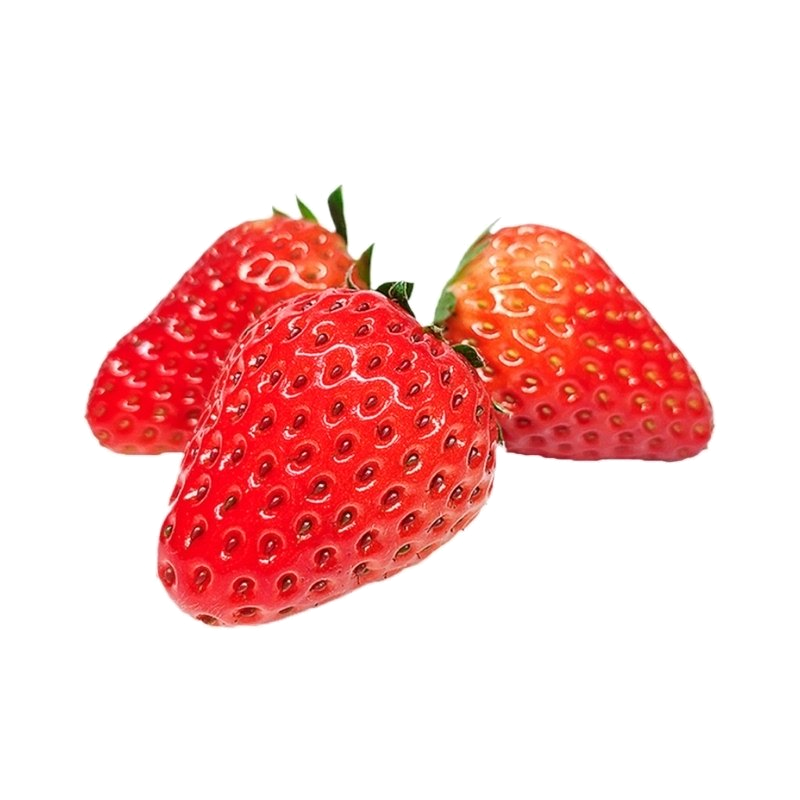 [西沛生鲜]顺丰快递 辽宁丹东99牛奶草莓 大果 净重2斤 单果30-35g 新鲜当季水果 红颜奶油草莓