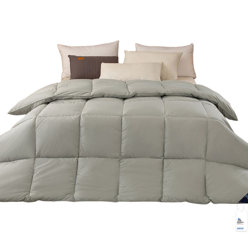 安居先森经典风尚羽绒纤维被冬被单人150*200cm 1900g D2086(条)