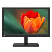 联想(lenovo) 来酷 B1911 18.5英寸电脑显示器滤蓝光不闪屏商务办公家用LED显示屏 支持壁挂 VGA接口