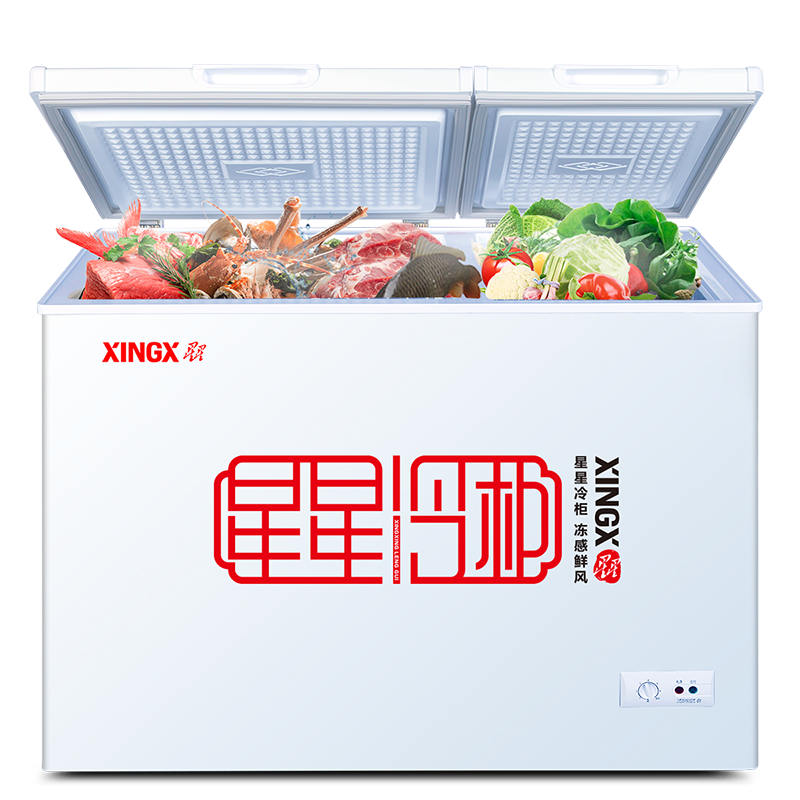 星星(XINGX) BCD-203EJD 203升 家用商用双温冰柜 双箱冷柜 左冷冻右冷藏冰箱顶开门大容量