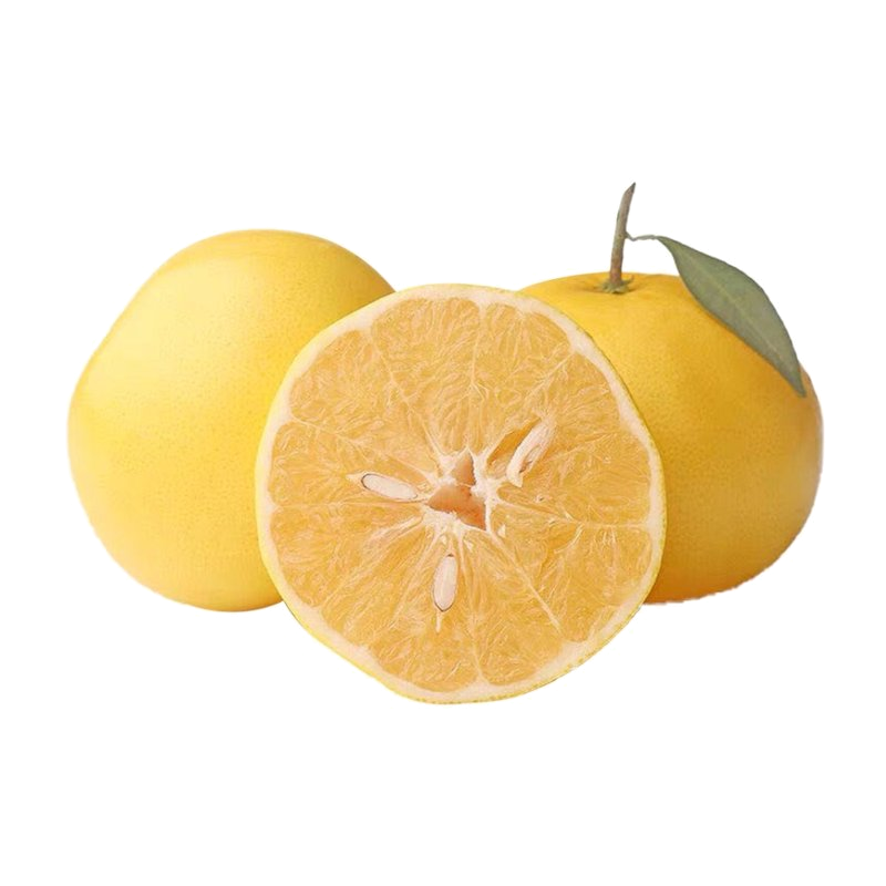 [西沛生鲜][礼盒装]福建平和葡萄柚精品果 当季 新鲜葡萄柚子 净重5斤 单果500-700g 3-5个新鲜水果