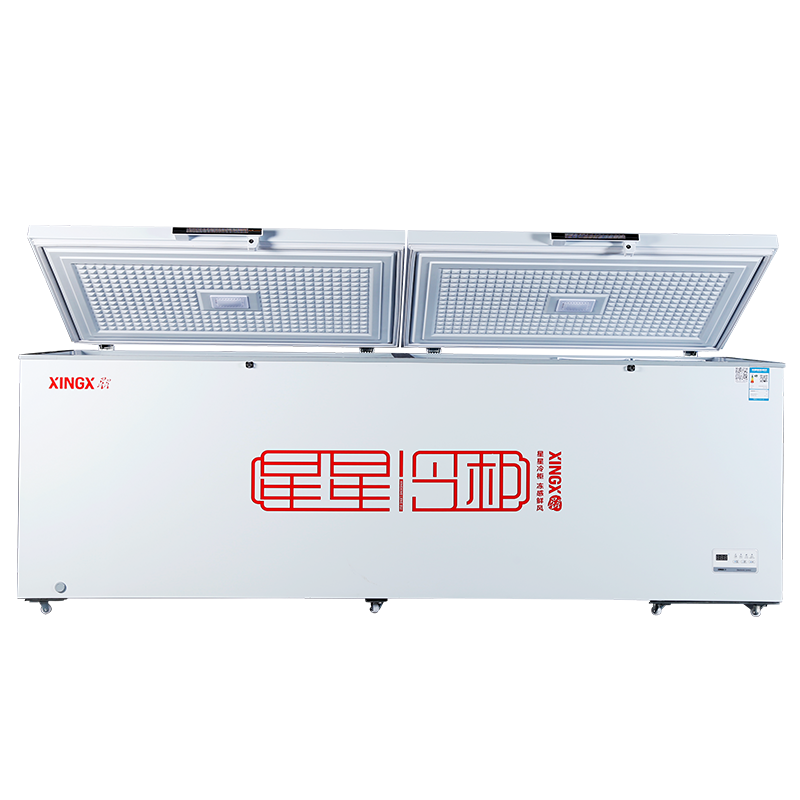 星星(XINGX) BD/BC-728GE 718升厨房商用保鲜设备冷柜 大容量冰柜 冷藏冷冻两用转换柜