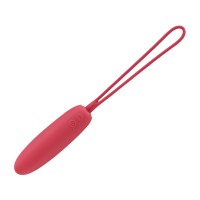 粉色APP款[入体强震|外出调教]+撩乳大师 送情趣礼包GYY