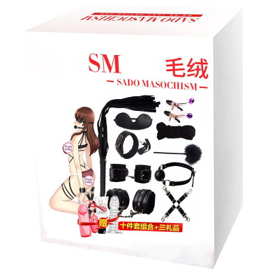成人SM用品组合套装十件情侣性生活情趣玩具夫妻房事男女用刑具皮鞭捆绑乳夹女性系列口球口塞另类道具床上调教工具久爱