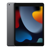 Apple iPad 9代10.2 英寸无线局域网机型 256GB 深空灰色MK2N3CH/A