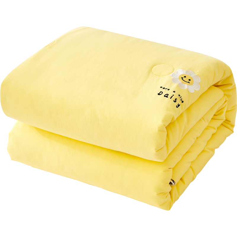 BLISS百丽丝家纺全棉绣花夏被可水洗纯棉夏凉被居家日用空调被