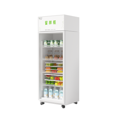 松氏 食品留样柜带锁透明学校食堂单位酒店幼儿园留样柜冰箱展示柜保鲜柜小冰箱600*500*1750