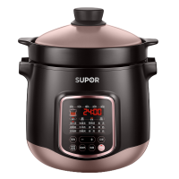 苏泊尔 (SUPOR) 电炖锅DG60YC13 多功能家用6L电炖盅养生锅煲汤锅煮粥锅燕窝 6升大容量