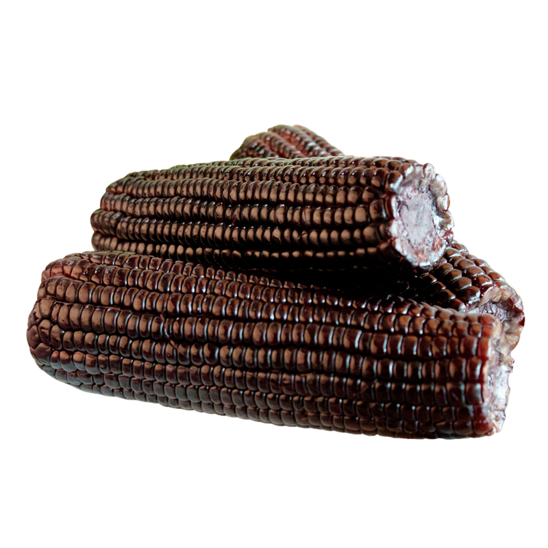 谷本粮农黑糯玉米8根 新鲜甜糯玉米棒子加热即食粗粮蔬菜真空装黑玉米