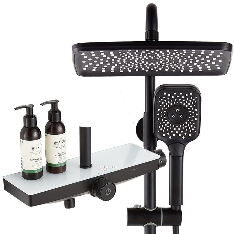 法恩莎(FAENZA)FE08L351MB 黑色恒温三功能大顶喷可置物沐浴花洒套装 可调节升降暗装沐浴花洒