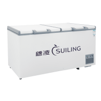 穗凌(SUILING)BD-605E单温大卧柜冰柜冷冻冷藏柜转换厨房冰箱保鲜柜速冻顶开门密封柜商用雪柜544升一级能效