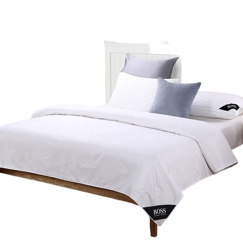 Hugo Boss CS-007 压花LOGO桑蚕丝被 800 HBCS-007 203*230cm