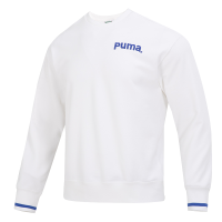 彪马(PUMA)男装 春季新款运动服跑步健身训练舒适休闲时尚套头衫卫衣 620614-02