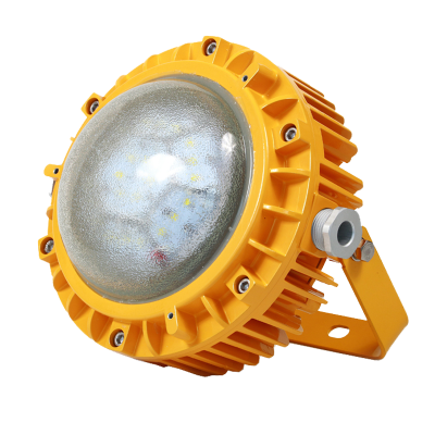 光大 EBF605(L) LED AC220V 60W IP66 5700K 抗震防爆平台灯 (计价单位:套)