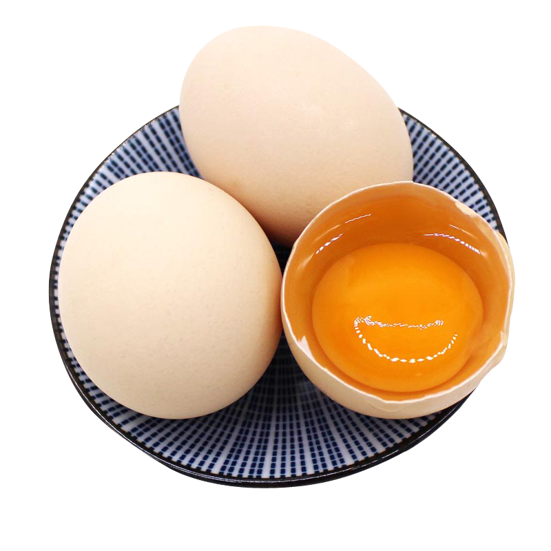 桃小淘 新鲜土鸡蛋30枚 正宗农家散养笨鸡蛋柴鸡蛋草鸡蛋 非鹌鹑蛋鸭蛋鹅蛋变蛋