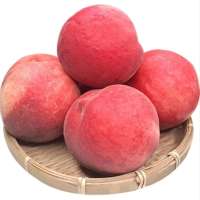 [苏鲜生]新鲜云南冬桃 蜜桃新鲜水果 净重5斤装 大果 单果120-200g 应季现摘脆甜毛桃子 整箱